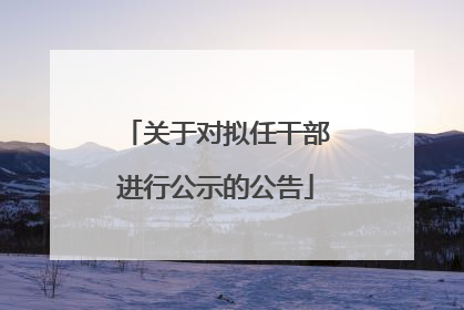 关于对拟任干部进行公示的公告
